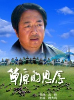 国产精品免费视频播放器
